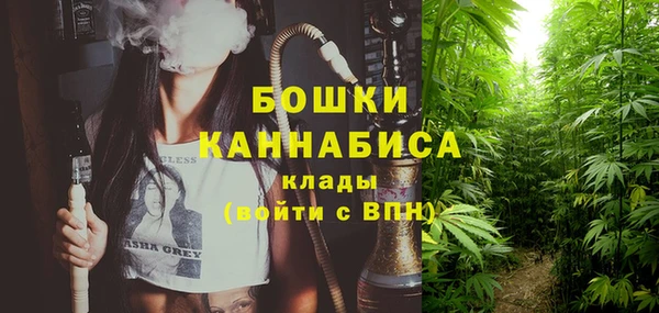 гидра Покровск