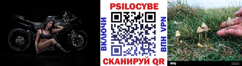 Псилоцибиновые грибы GOLDEN TEACHER Усмань