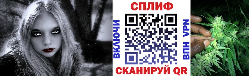 где найти   Усмань  Бошки марихуана ГИДРОПОН 